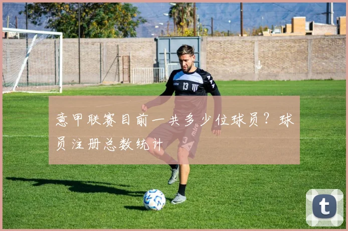 意甲联赛目前一共多少位球员?球员注册总数统计