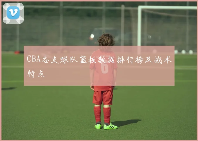 CBA各支球队篮板数据排行榜及战术特点