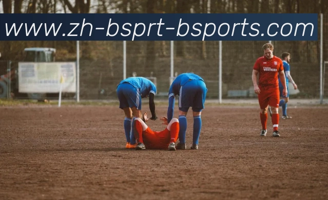 B体育平台生态图